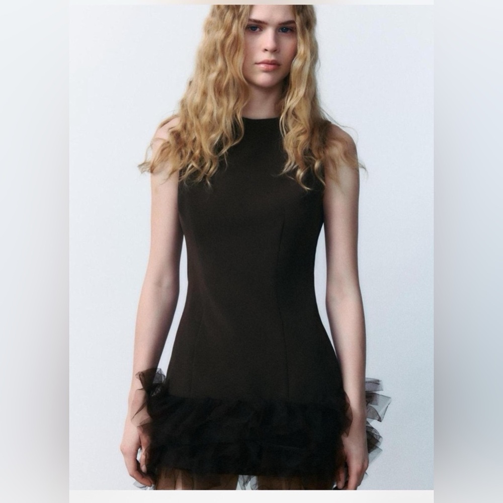 Zara tulle dress